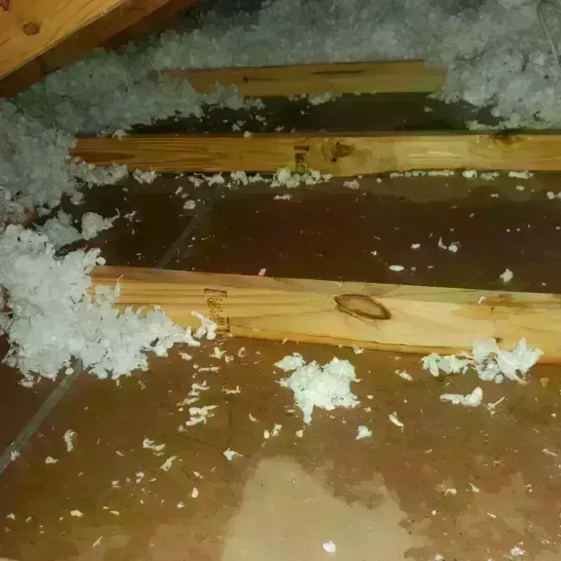 Attic Water Damage in Rome, NY